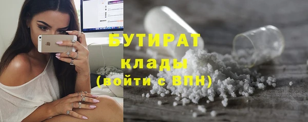 spice Богородицк