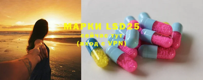 LSD-25 экстази кислота  kraken как зайти  Новопавловск 